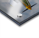 North American Aviation P-51D Mustang - Bald Eagle Acrylic print