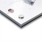 Cherries in a Vodka Martini Acrylic print