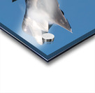 Lockheed-Martin USAF F-22 Raptor Acrylic print