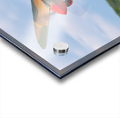 Curtiss P-40 Warhawk Acrylic print