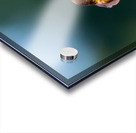 Hummingbirds Acrylic print