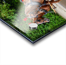 Horse and Carriage on Mackinac Island Acrylic print