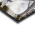 A pair of White Horses Acrylic print