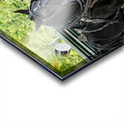 Teams of Horses Acrylic print