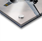 Fairchild Republic A-10 Warthog Acrylic print