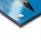 United States Air Force F-16  Viper Acrylic print