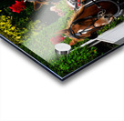 A Simpler Time Acrylic print