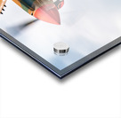 Curtiss P-40 WarHawk Acrylic print