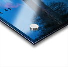 The World Awakes Acrylic print