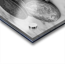 Silver Dollars on Marble Acrylic print