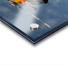 Eurocopter MH-65 Dolphin Acrylic print