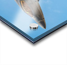 Lockheed Martin F-22  Acrylic print