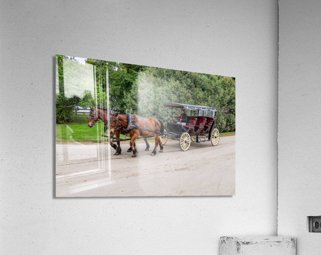 A Pair of Horses pulling a Carriage Acrylic Print