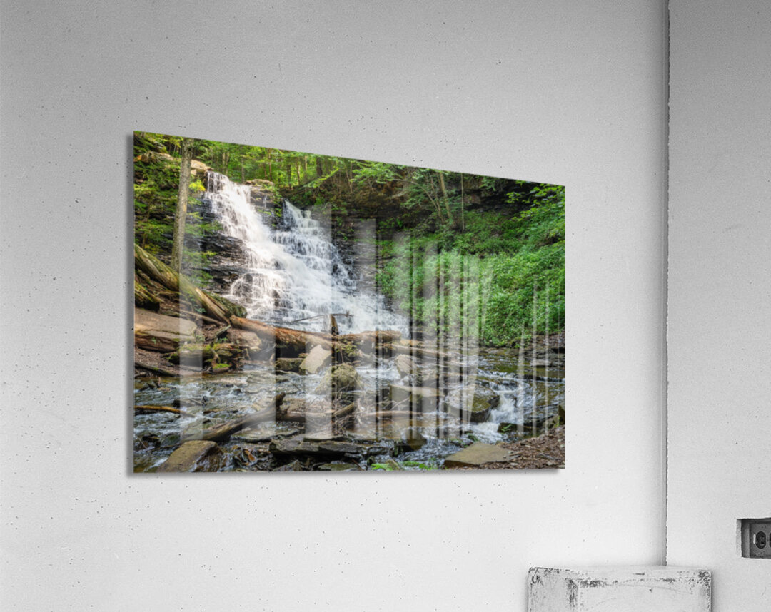 Waterfall in the Deep Forest Acrylic Print