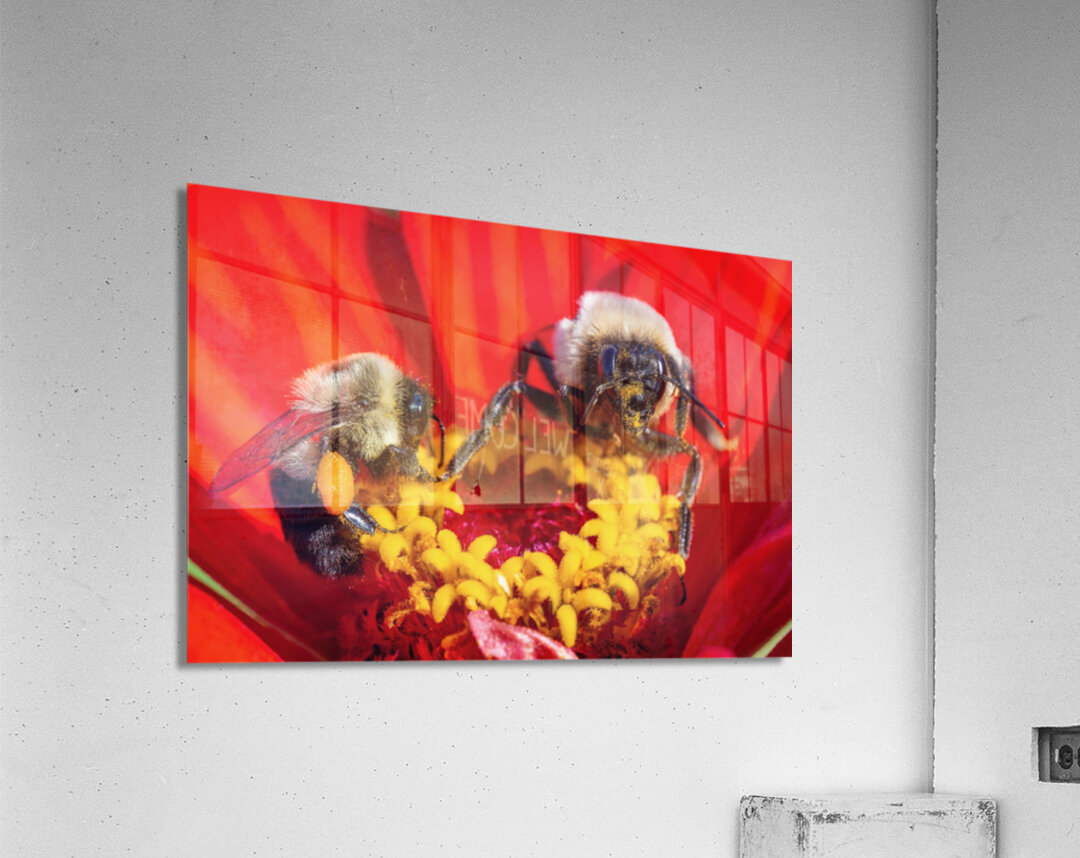 Busy Bees Acrylic Print