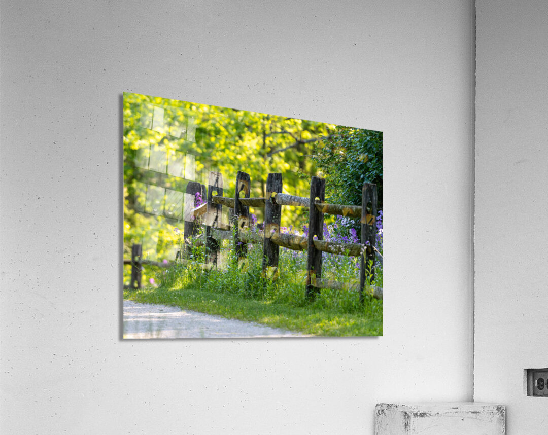 Fence and Flowers Acrylic Print