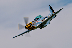 P-51 Mustang - Little Witch