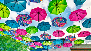 Umbrellas