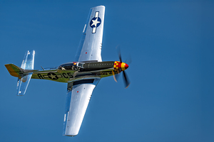 P-51D Mustang - Swamp Fox by Pisarek Photography