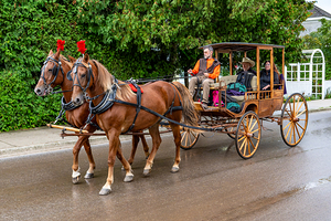 Horse and Carriage on Mackinac Island