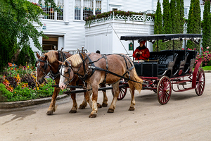 Horse and Carriage near The Grand Hotel