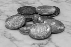 Silver Dollars on Marble