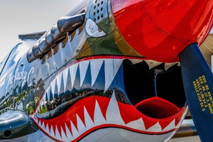 Curtiss P-40 Warhawk Nose Art