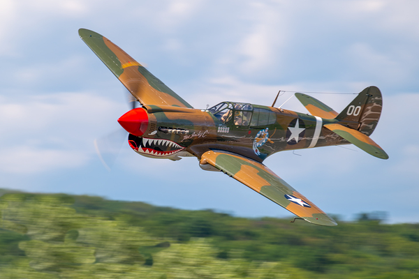Curtiss P-40 Warhawk Print