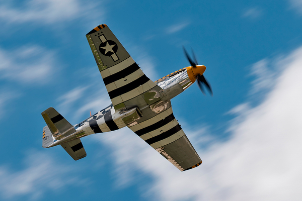 North American Aviation P-51 Mustang Bald Eagle Print