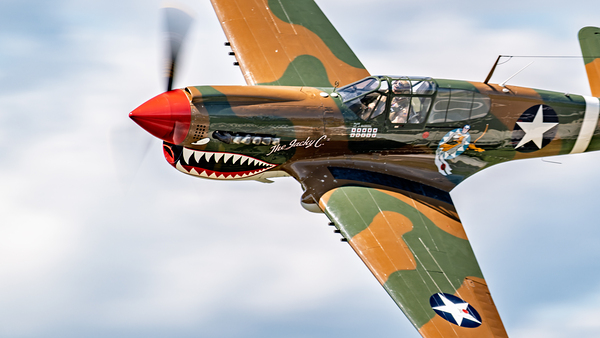 Curtiss P-40 WarHawk Print