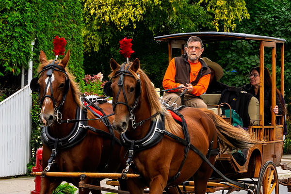 A Simpler Time Print