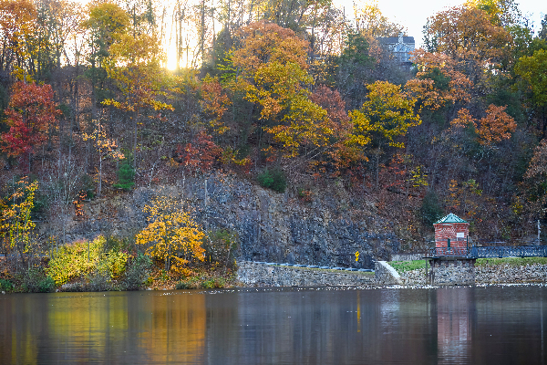 An autumn morning at the lake Print