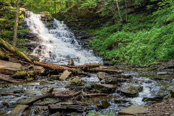 Waterfall in the Deep Forest Print