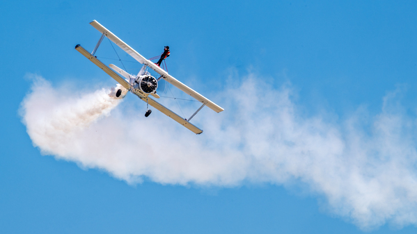 Grumman C-164 Ag Cat  and a Daring WingWalker.  Print