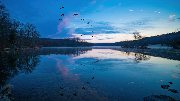 The World Awakes Print