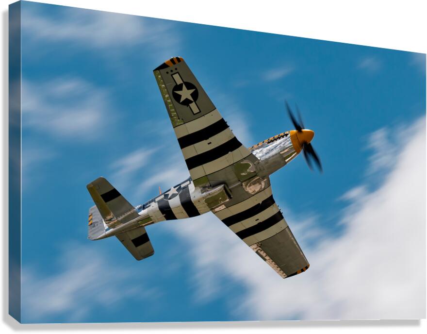 North American Aviation P-51 Mustang Bald Eagle Canvas Print