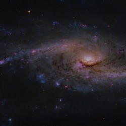 NGC 4536 – Spectacular Starburst Spiral in the constellation Virgo