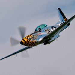 P-51 Mustang - Little Witch
