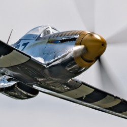 P-51 Mustang - Bald Eagle - Speed and Power