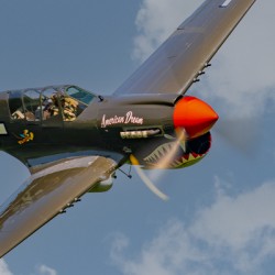 Curtiss P-40 Warhawk - American Dream