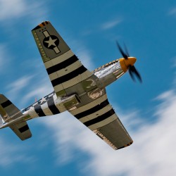 North American Aviation P-51 Mustang Bald Eagle