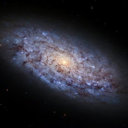 NGC5949 Dwarf Galaxy
