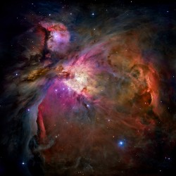M42 - The Orion Nebula