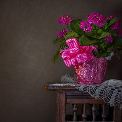 Flowers on an Antique Table