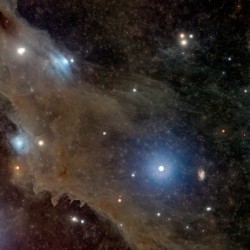 LDN 1235: The Shark Nebula