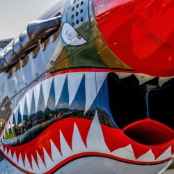 Curtiss P-40 Warhawk Nose Art