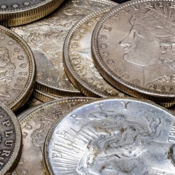 Silver Dollars