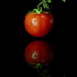 Tomato and Reflection