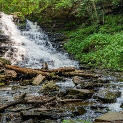 Waterfall in the Deep Forest