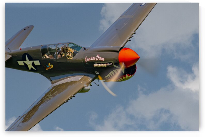 Curtiss P-40 Warhawk - American Dream by Pisarek Photography